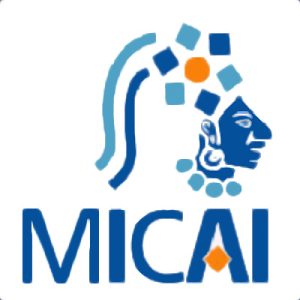 MICAI (COMIA)-image