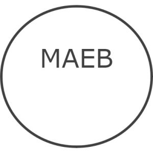 MAEB-image